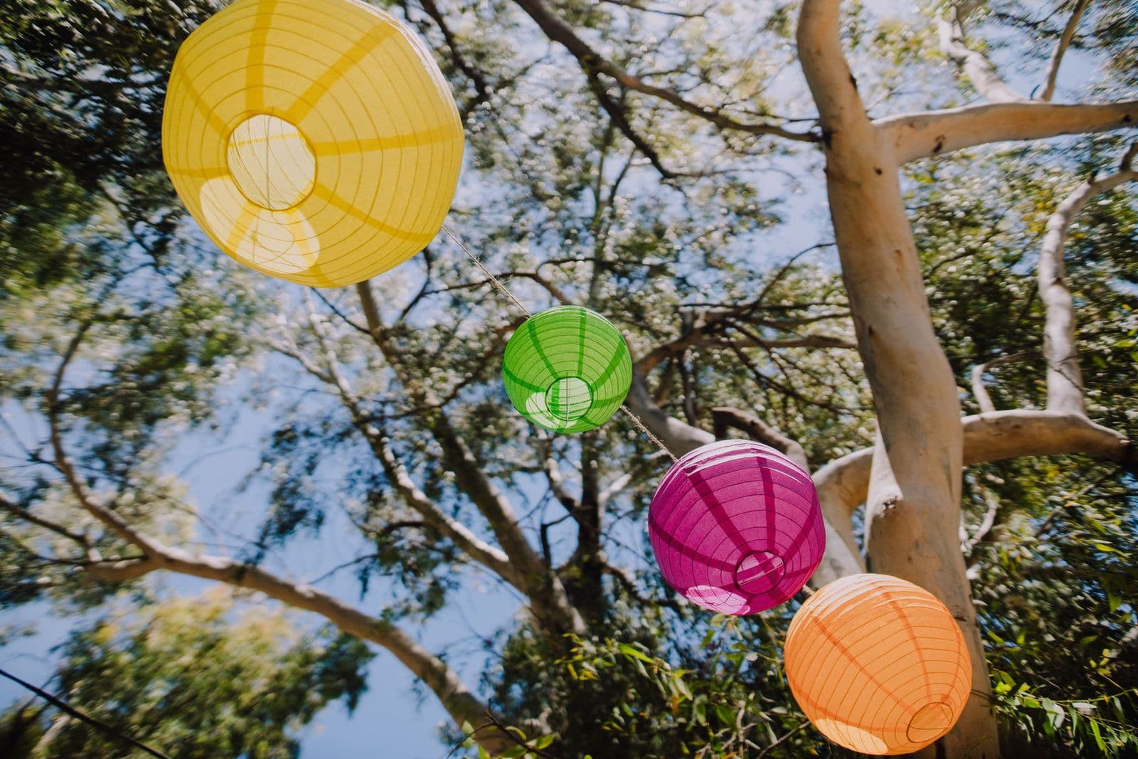 Colourful paper lanterns hanging between eucalyptus trees
